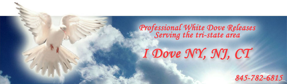 I Dove New York | New York Dove Releases